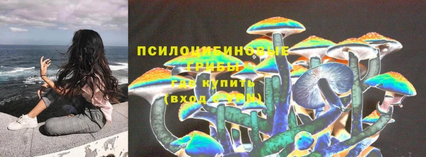 гидропоника Лабытнанги
