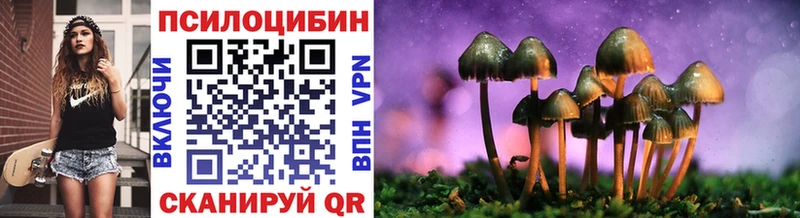 Купить  Альметьевск  Псилоцибиновые грибы Psilocybe 